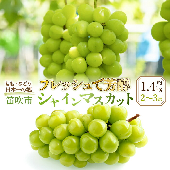 【ふるさと納税】＜25年発送先行予約＞フレッシュで芳醇シャインマスカット2-3房　約1.4kg★ ふるさと納税 おすすめ ランキング シャインマスカット 笛吹市  国産 人気 期間限定 ぶどう 葡萄 果物 甘い デザート おやつ 山梨県 送料無料 016-001