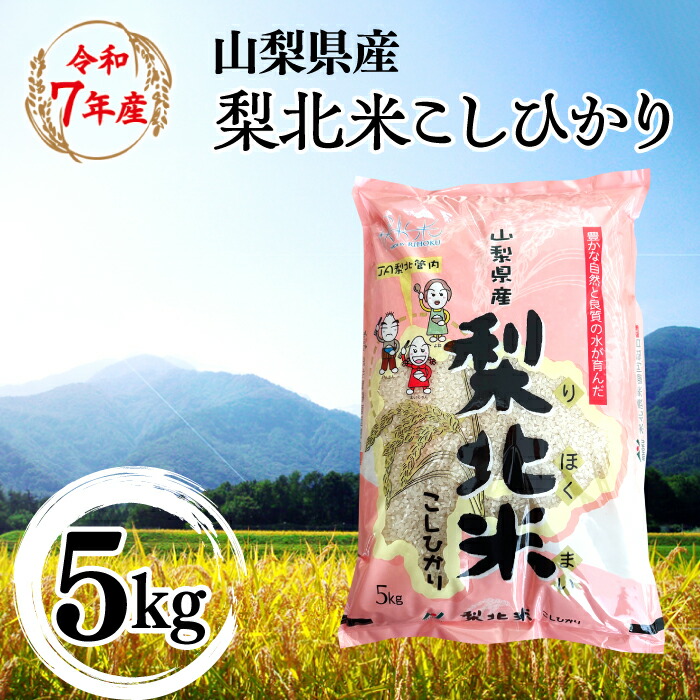 【ふるさと納税】【山梨のブランド米】 山梨県産 梨北米こしひかり　5kg 米 ふるさと納税 精米 国産 送料無料 コメ こめ ブランド米 送料無料 お取り寄せ ごはん ご飯 ギフト 贈り物 プレゼント 山梨県 送料無料 115-008｜山梨県笛吹市 13,680円