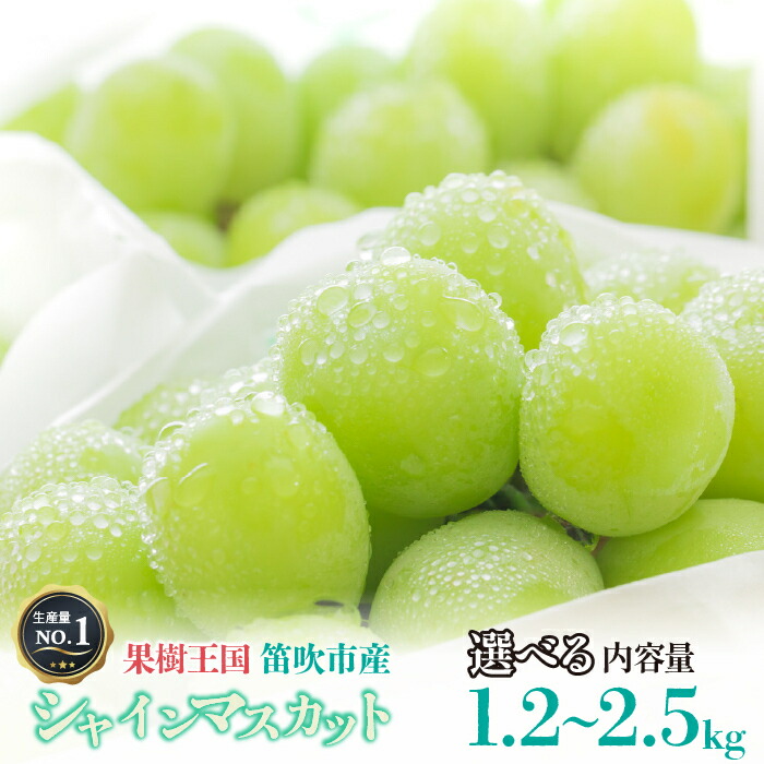 【ふるさと納税】＜25年先行予約＞こだわりシャインマスカット 1.2kg　2.5kg【選べる容量】  (沖縄･離島配送不可) (常温配送) 期間限定 ランキング ぶどう 葡萄 人気 おすすめ 送料無料 126-002/126-007