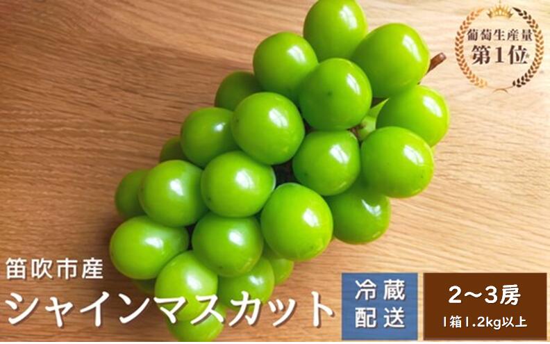 【ふるさと納税】＜2025年先行予約＞シャインマスカット　2～3房1.2kg以上　クール便対応★ ふるさと納税 人気 おすすめ ランキング シャインマスカット 国産 人気 期間限定  ぶどう ブドウ 葡萄 旬 果物 フルーツ 山梨県 笛吹市 送料無料 136-011