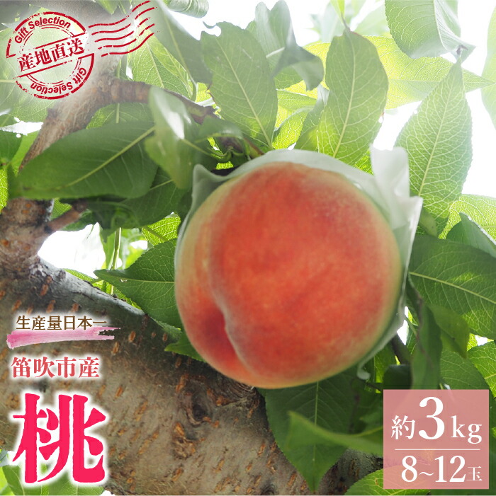 【ふるさと納税】＜25年発送先行予約＞厳選！山梨県笛吹市産桃 約3kg（8～12玉） ふるさと納税 人気 おすすめ ランキング もも 桃 国産 人気 期間限定 果物 フルーツ 旬 山梨県 笛吹市 送料無料 156-002