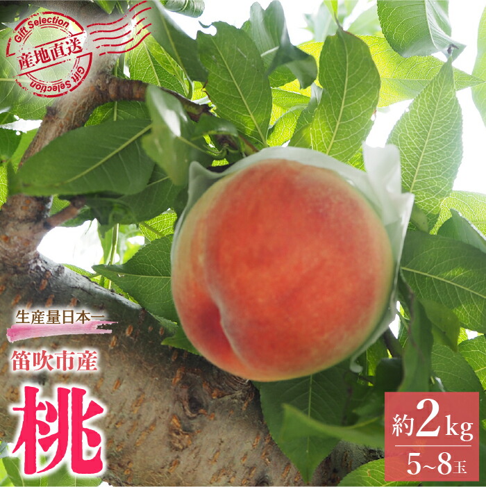 【ふるさと納税】＜25年発送先行予約＞厳選！山梨県笛吹市産桃 約2kg（5～8玉） ふるさと納税 人気 おすすめ ランキング もも 桃 国産 人気 期間限定 果物 フルーツ 旬 山梨県 笛吹市 送料無料 156-003