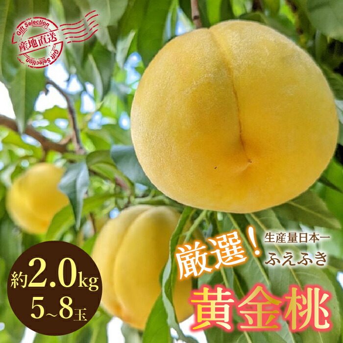 【ふるさと納税】＜25年発送先行予約＞厳選！山梨県笛吹市産 黄金桃 約2kg (5～8玉) ふるさと納税  笛吹市  国産 人気 期間限定  旬 果物 フルーツ 山梨県 送料無料 156-012