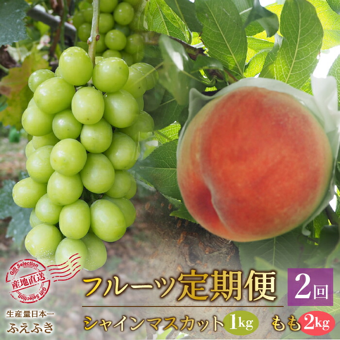 【ふるさと納税】＜25年発送先行予約＞厳選！大人気セット！笛吹市全２回定期便～もも2kg シャインマスカット1kg～ ふるさと納税 人気 おすすめ ランキング シャインマスカット 桃 もも 国産 人気 期間限定  ぶどう ブドウ 葡萄 旬 果物  山梨県 笛吹市 送料無料 156-100