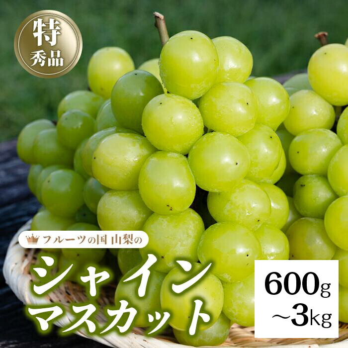 【ふるさと納税】 シャインマスカット 【選べる容量 600gから3kg】 種なしぶどう 山梨県 笛吹市 フルーツ 果物  人気 期間限定  ぶどう ブドウ 葡萄 旬 人気 ランキング コスパ 粒が大きい 甘い 美味しい 数量限定 KEIPE株式会社販売 154-008