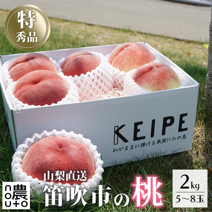 【ふるさと納税】 ＜25年発送先行予約＞日本一の生産量 山梨県産 桃 2kg以上 5~8玉 | 山梨 桃 本場 秀品 もも 高評価 人気 ランキング おすすめ コスパ 甘い 高糖度 美味しい デザート 数量限定 送料無料　産地直送 山梨県産 「販売」KEIPE株式会社 154-030