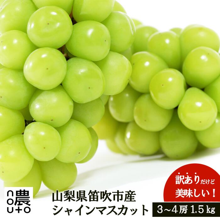 【ふるさと納税】＜2025年先行予約＞ 訳あり シャインマスカット1.5kg ふるさと納税 おすすめ シャインマスカット 笛吹市  国産 人気 期間限定  ぶどう ブドウ 葡萄 旬 果物 フルーツ 山梨県 154-044