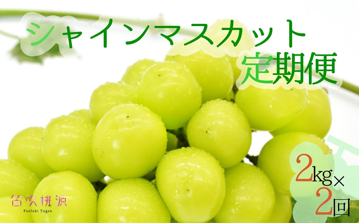 【ふるさと納税】＜25年発送先行予約＞シャインマスカット定期便2kg×2 ふるさと納税 シャインマスカット 笛吹市  国産 人気 期間限定  ぶどう ブドウ 葡萄 旬 果物 フルーツ 山梨県 送料無料 定期便 157-018