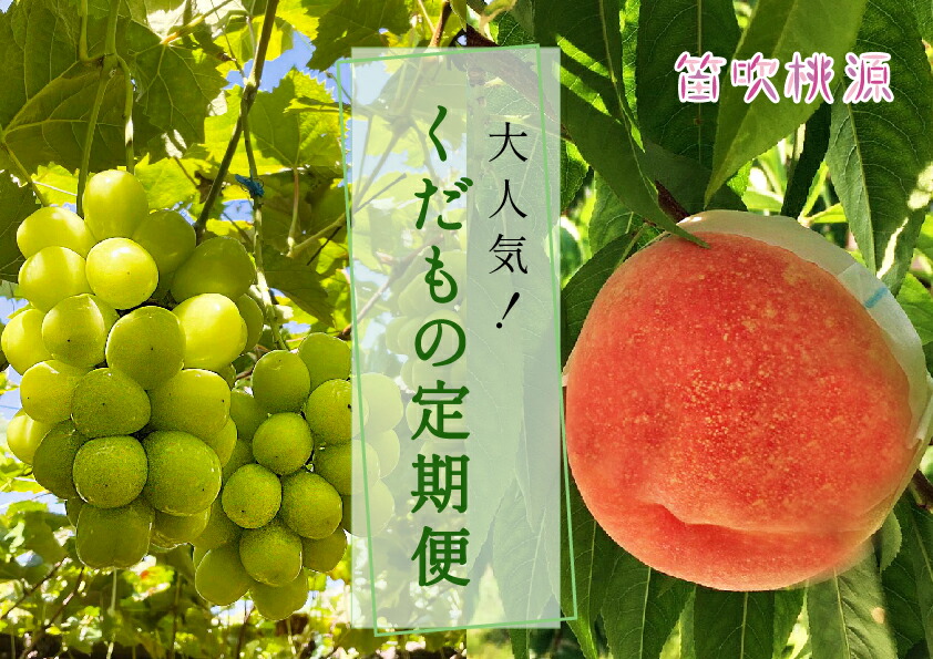 【ふるさと納税】＜25年発送先行予約＞大人気くだもの定期便全2回 ふるさと納税 シャインマスカット 桃 もも 笛吹市  国産 人気 期間限定  ぶどう ブドウ 葡萄 定期便 果物 フルーツ 山梨県 送料無料 157-011