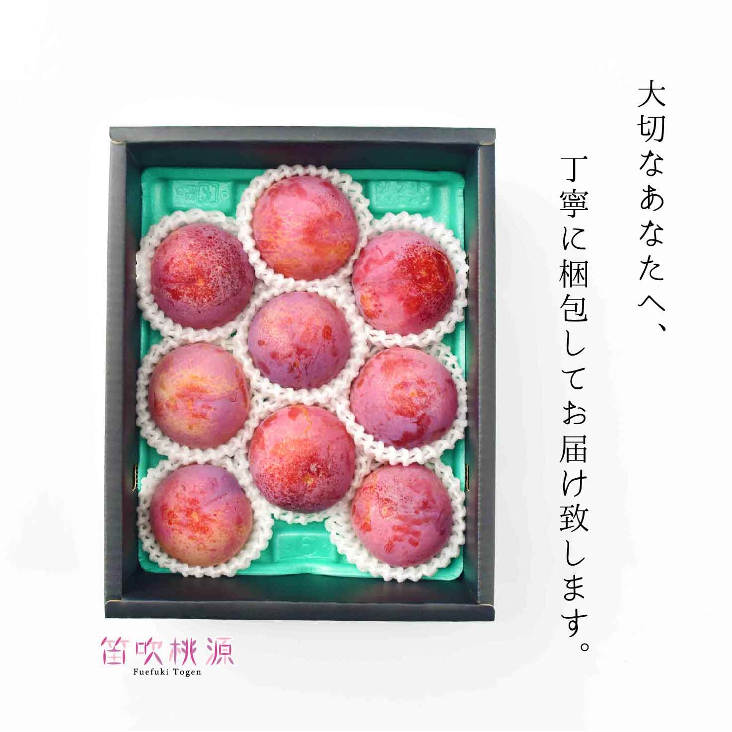 【ふるさと納税】＜25年発送先行予約＞ 高級スモモ【貴陽】8～12玉 約1.6kg（笛吹桃源） ふるさと納税 スモモ 貴陽 笛吹市 国産 人気 期間限定 果物 フルーツ 旬 山梨県 送料無料 157-012