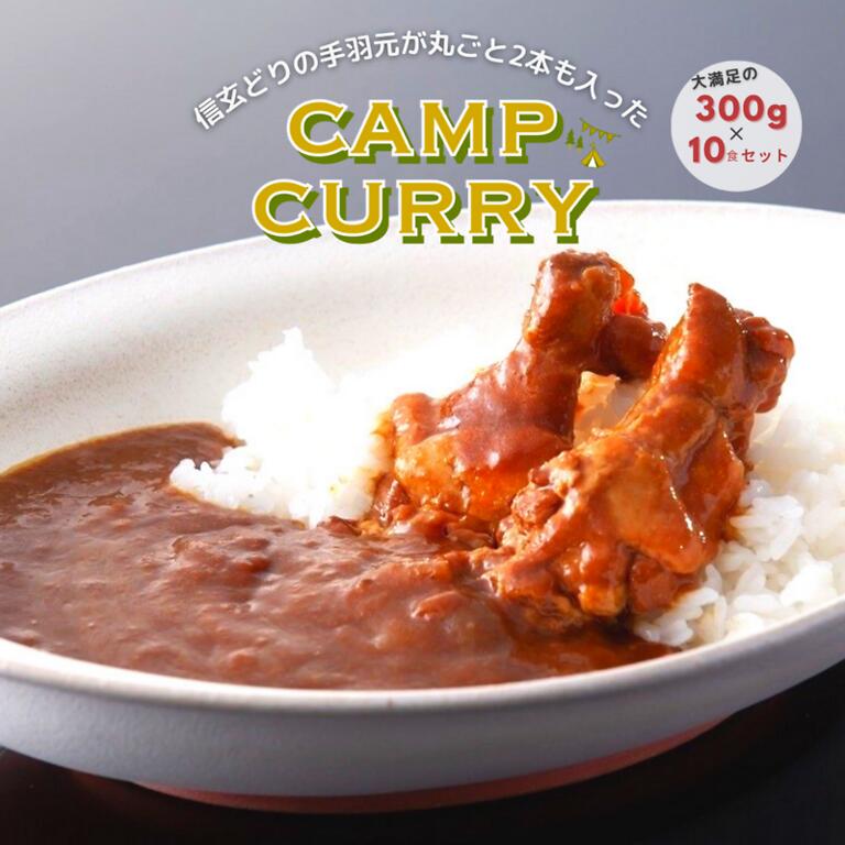 【ふるさと納税】【キャンプカレー】大容量300gのレトルトカレー10食セット！ ふるさと納税 カレー レトルト カレーライス キャンプ アウトドア 笛吹市 山梨県 送料無料 166-007｜山梨県笛吹市