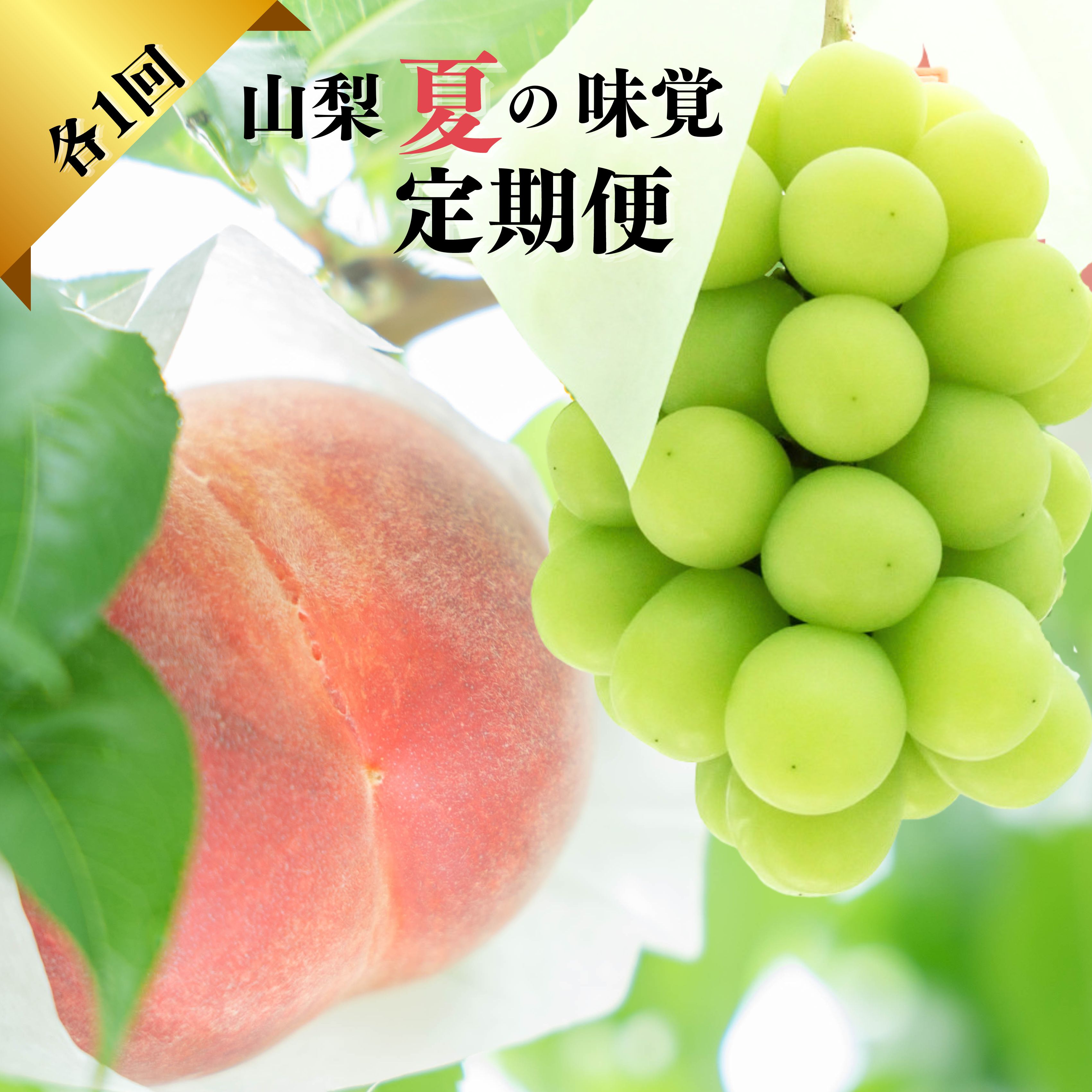 【ふるさと納税】＜2025年発送先行予約＞『山梨夏の味覚定期便』笛吹市産旬の桃とシャインマスカット各１回 ふるさと納税 シャインマスカット   人気   ぶどう ブドウ 葡萄 旬 もも 桃 笛吹市 国産 人気 期間限定 果物 フルーツ 旬 山梨県 送料無料 167-014