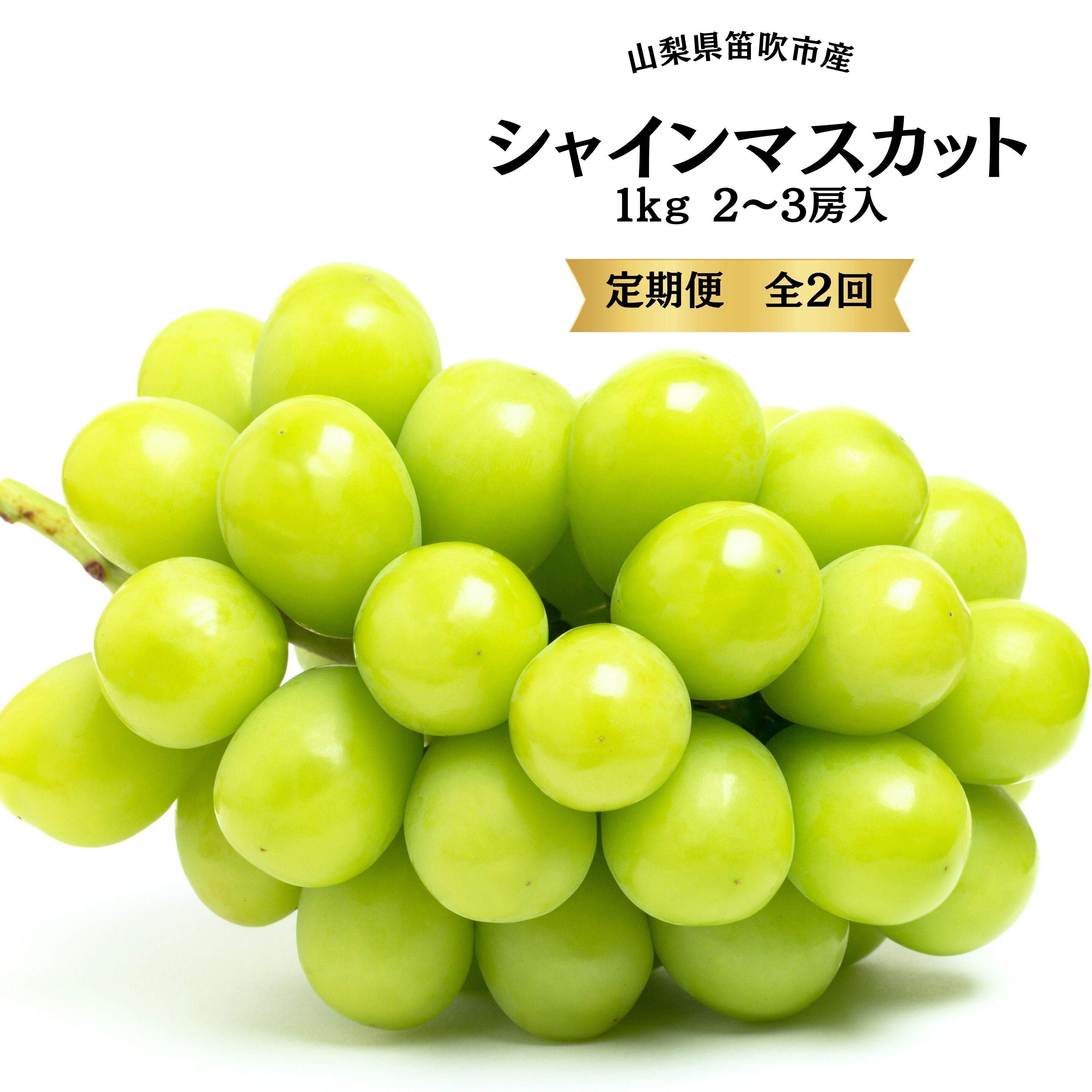 【ふるさと納税】＜25年発送先行予約＞ 定期便2回 ★レビューキャンペーン中（4月～6月）ふるさと納税 シャインマスカット 定期便 シャイン マスカット 大人気 特産品 人気 ぶどう ブドウ 葡萄 旬 笛吹市 国産 人気 期間限定 果物 フルーツ 山梨県 送料無料 167-015