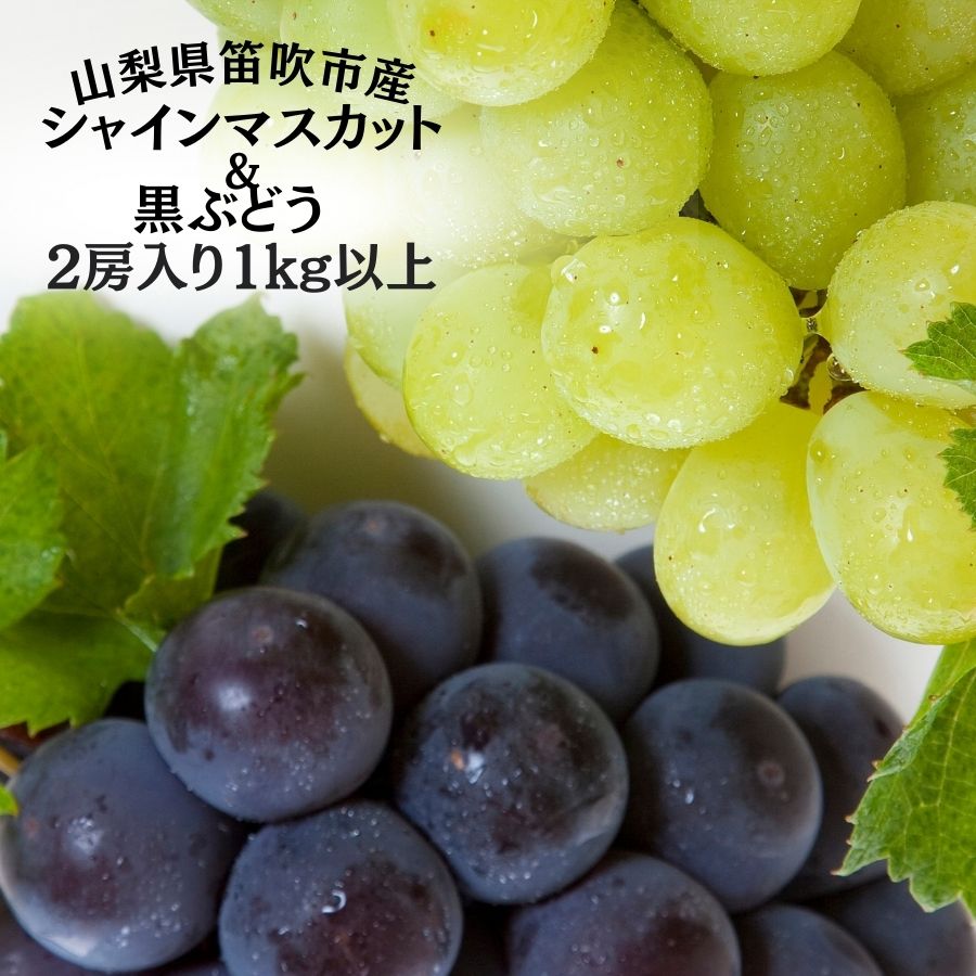 【ふるさと納税】＜25年発送先行予約＞笛吹市産旬の葡萄２房入り２色セット 1kg以上 ★レビューキャンペーン中（4月～6月）ふるさと納税 シャインマスカット   笛吹市  国産 人気 期間限定  ぶどう ブドウ 葡萄 旬 果物 フルーツ 山梨県 送料無料 167-142