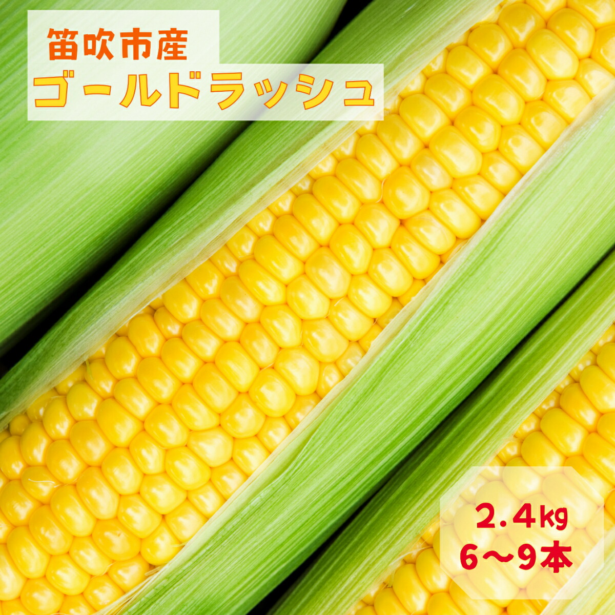 【ふるさと納税】＜2025年発送先行予約＞笛吹市八代産とうもろこし「ゴールドラッシュ」2.4kg ★レビューキャンペーン中（4月～6月）ふるさと納税 ゴールドラッシュ とうもろこし トウモロコシ コーン とうきび 蒸し 焼き 野菜 山梨県 笛吹市 八代 送料無料 167-003