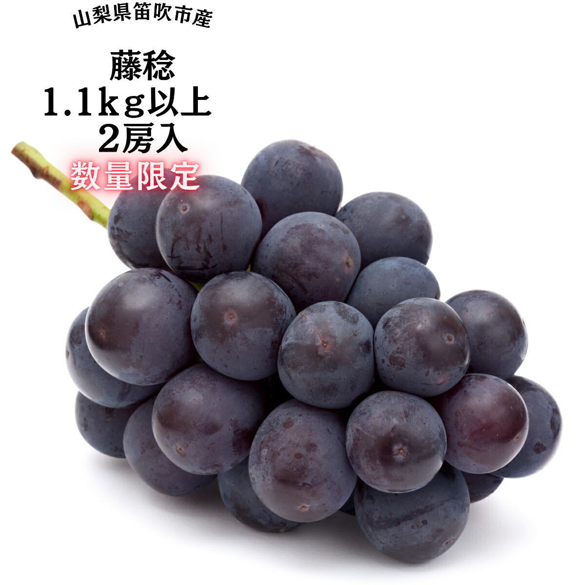 【ふるさと納税】【2026年発送★先行予約】『数量限定』一大産地笛吹市御坂町の藤稔1.1ｋｇ2房入 ふるさと納税 藤稔 笛吹市 国産 人気 期間限定 ぶどう ブドウ 葡萄 旬 果物 フルーツ 山梨県 送料無料 167-005