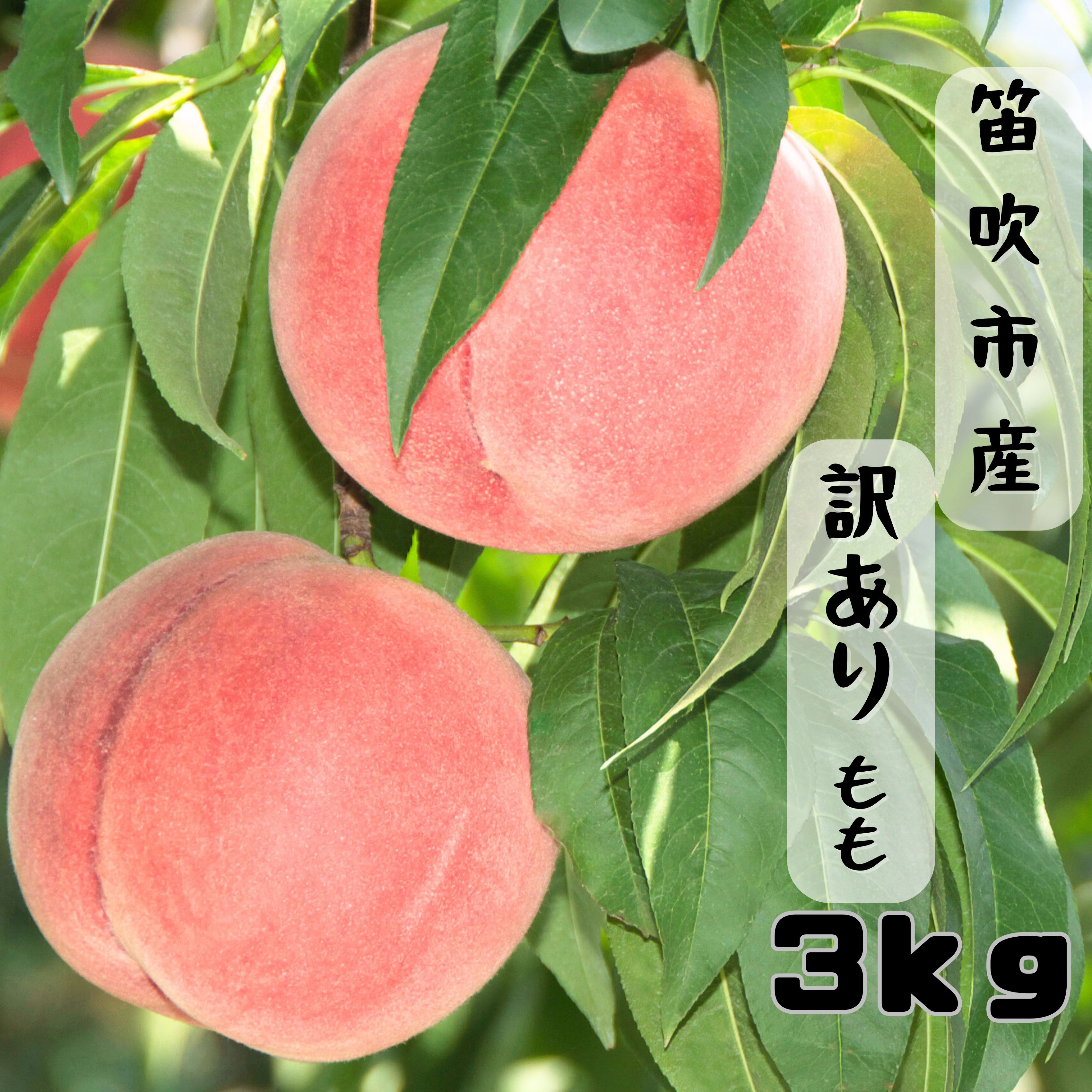 【ふるさと納税】＜25年発送先行予約＞  笛吹市産 訳あり桃 約3kg 167-026 ★レビューキャンペーン中（4月～6月）※訳あり品のため注意事項をご確認ください
