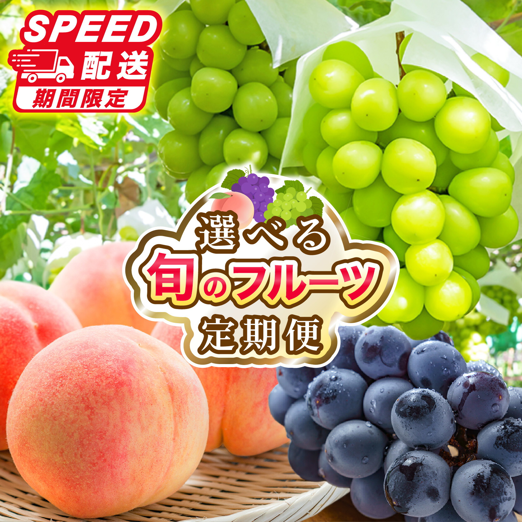 【ふるさと納税】★スピード配送★フルーツ 定期便 フルーツ定期便 笛吹市産 桃 もも ピーチ シャインマスカット ぶどう 巨峰 ブドウ 葡萄 果物 山梨県 笛吹市 旬のフルーツ 高評価 人気 厳選 詰め合わせ 選べる2回 3回 ランキング 1位 送料無料 2026年発送 先行予約｜山梨県笛吹市