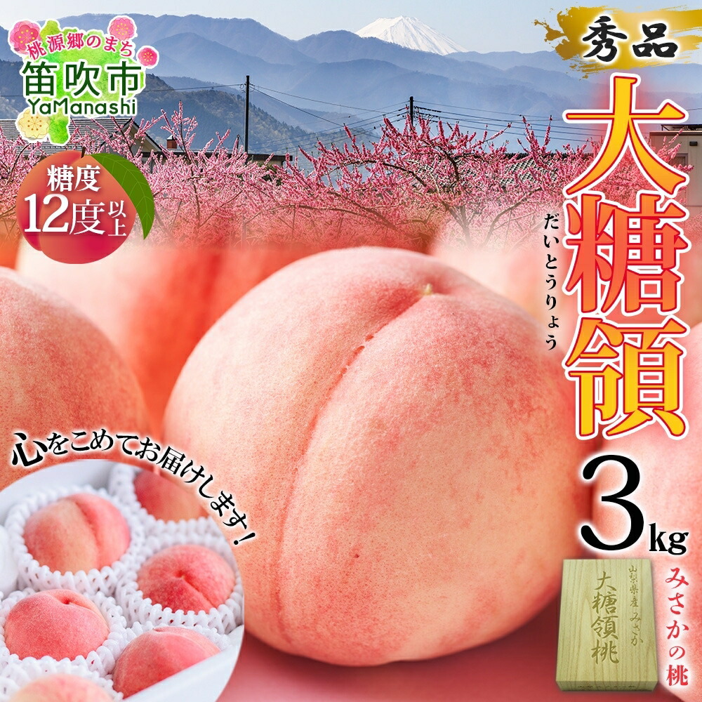 【ふるさと納税】＜25年発送先行予約＞ 桃 大糖領 秀品 3kg 【糖度12％以上】 2025年 (クール便配送) もも ピーチ 芳醇 選別 贅沢 笛吹市 山梨県産 人気 期間限定 旬 果物 フルーツ 送料無料 お中元 帰省 贈答 ギフト高評価 産地厳選 贅沢 夏 ブランド 177-002