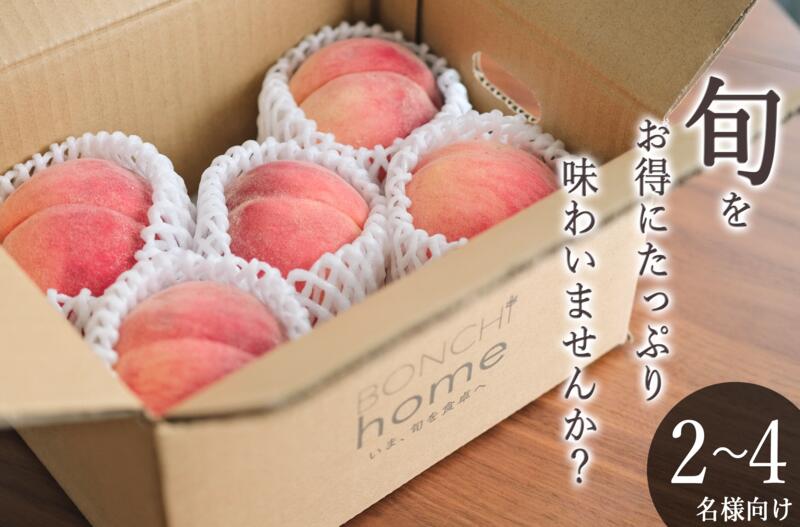 【ふるさと納税】＜25年発送先行予約＞笛吹市産　たっぷりおトクな家庭用 桃 約1.5kg ふるさと納税 おすすめ ランキング もも 桃 笛吹市 国産 人気 期間限定 果物 フルーツ 旬 山梨県 送料無料 193-004