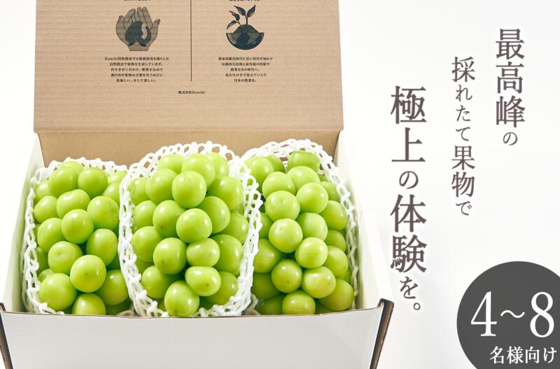 【ふるさと納税】＜25年発送先行予約＞笛吹市産　大粒シャインマスカット 3房入り 約2.1kg ふるさと納税 おすすめ ランキング シャインマスカット 大粒 笛吹市  国産 人気 期間限定  ぶどう ブドウ 葡萄 旬 果物 フルーツ 山梨県 送料無料 193-008