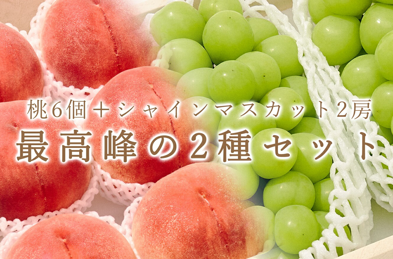 【ふるさと納税】＜25年発送先行予約＞【定期便】笛吹市産 大玉桃6個と大粒シャインマスカット2房の2種セット ふるさと納税  笛吹市  国産 人気 期間限定  旬 果物 フルーツ 山梨県 送料無料 193-012