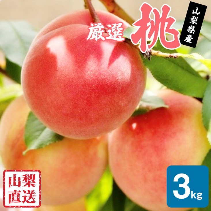 【ふるさと納税】＜25年発送先行予約＞厳選!!池田青果の桃　3kg　8～13玉 ふるさと納税 もも 桃 笛吹市 国産 人気 期間限定 果物 フルーツ 旬 山梨県 送料無料 173-005