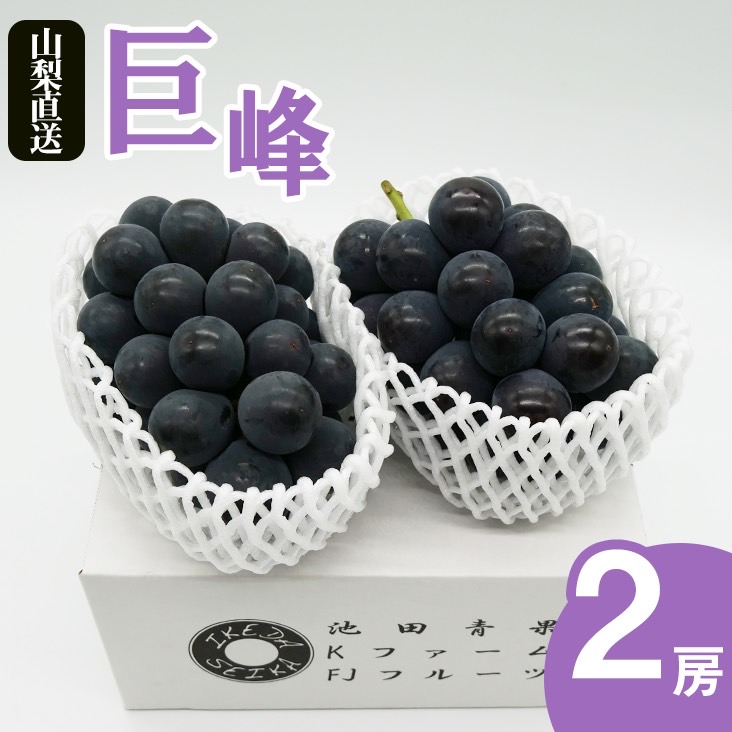 【ふるさと納税】＜25年発送先行予約＞厳選!! 池田青果の巨峰　1.0kg　2房 ふるさと納税 巨峰 笛吹市  国産 人気 期間限定  ぶどう ブドウ 葡萄 果物 フルーツ 173-003