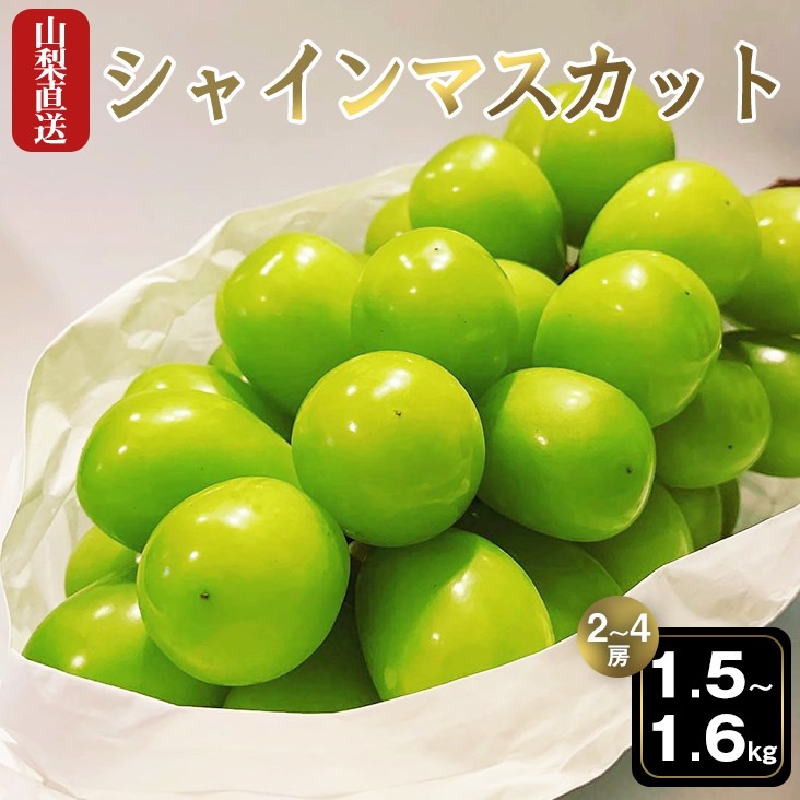 【ふるさと納税】＜25年発送先行予約＞厳選!!池田青果のシャインマスカット1.5~1.6 kg 2 房~4 房 ふるさと納税 シャインマスカット 笛吹市  国産 人気 期間限定  ぶどう ブドウ 葡萄 旬 果物 フルーツ 山梨県 送料無料 先行予約 173-007