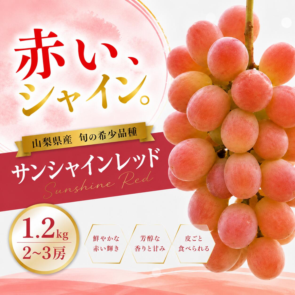 【ふるさと納税】【2026年発送】先行予約 サンシャインレッド 1.2kg 2～3房 山梨県産 希少 赤系ぶどう シャインマスカット系 　ぶどう フルーツ 果物　ふるさと納税 おすすめ サンシャインレッド 笛吹市 国産 人気 ブドウ 葡萄 旬 果物 フルーツ 山梨県 送料無料 209-011-26y｜山梨県笛吹市