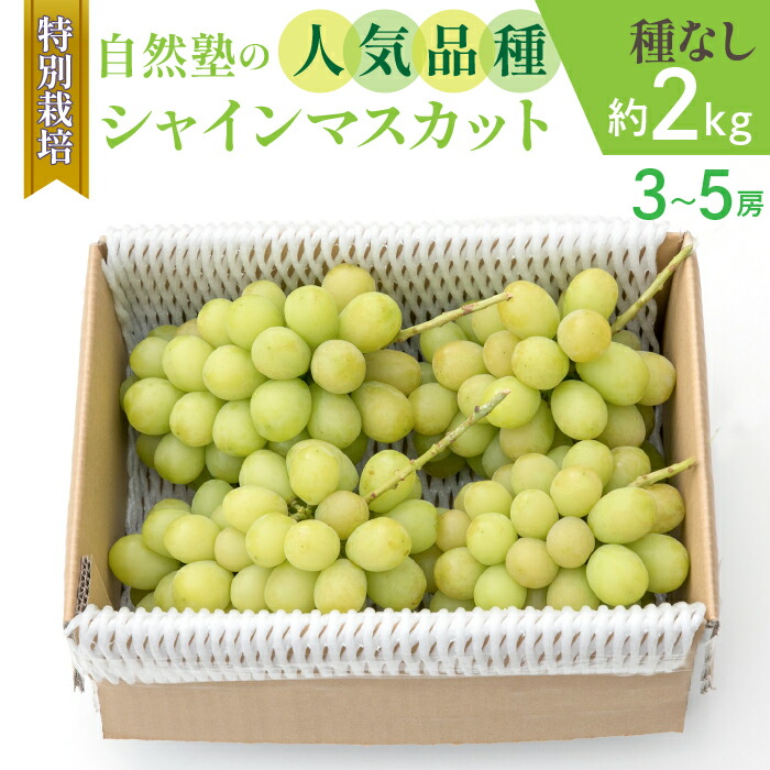 【ふるさと納税】＜25年発送先行予約＞減農薬『特別栽培』 自然塾のシャインマスカット2kg ふるさと納税 おすすめ ランキング シャインマスカット 笛吹市  国産 人気 ぶどう ブドウ 葡萄 旬 果物 フルーツ 山梨県 送料無料 207-001