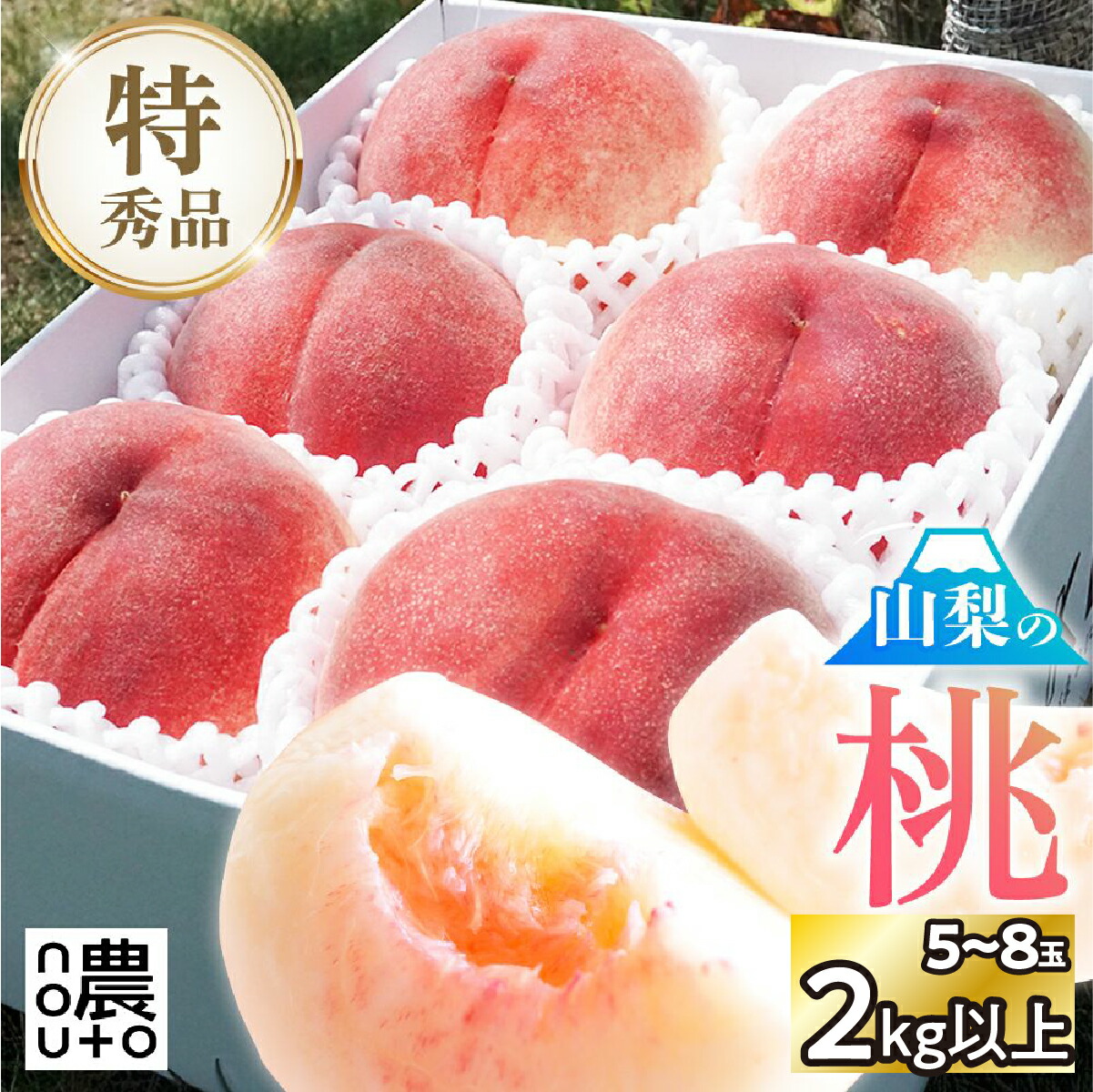 【ふるさと納税】【2026年発送】日本一の生産量 山梨県産 桃 2kg以上 5~8玉 ※クール便 | 山梨 桃 本場 秀品 もも 高評価 人気 ランキング 甘い 高糖度 美味しい デザート 数量限定 送料無料 産地直送 山梨県産 「販売」KEIPE株式会社 154-030|山梨県笛吹市