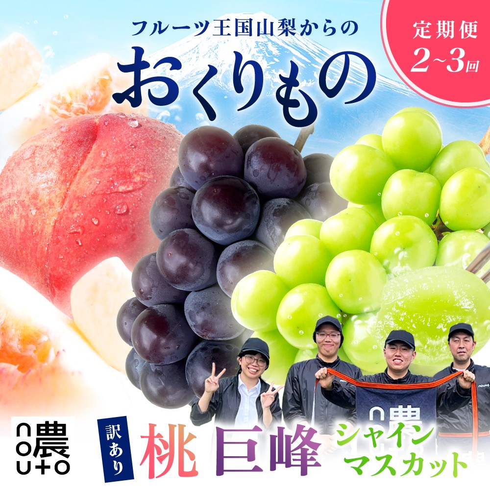 【ふるさと納税】【2026年発送★先行予約】選べる 訳あり定期便 フルーツ 2回 3回 桃 巨峰 シャインマスカット 盛り合わせ ぶどう 果物 1房 2房 農家直送 朝採れ 山梨県 数量限定 種無し 旬 産地直送 果実 贈答 ギフト 家庭用 6月 7月 8月 154-056/057/058