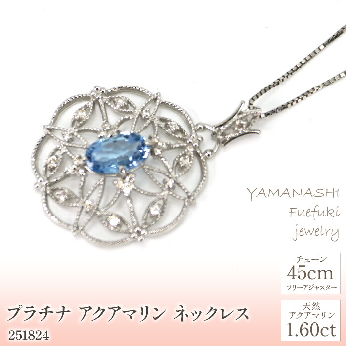 【ふるさと納税】プラチナ　アクアマリン　ネックレス　管理番号251824　×1本 ふるさと納税 人気 おすすめ ランキング アクセサリー 宝石 ジュエリー 高級 記念日 プレゼント 山梨県 笛吹市 送料無料 天然石 218-070