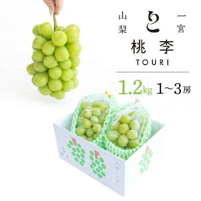 【ふるさと納税】【2026年発送★先行予約】シャインマスカット約1.2kg（1~3房） ふるさと納税 人気 おすすめ ランキング シャインマスカット 国産 人気 期間限定 ぶどう ブドウ 葡萄 旬 果物 フルーツ 山梨県 笛吹市 送料無料 122-014