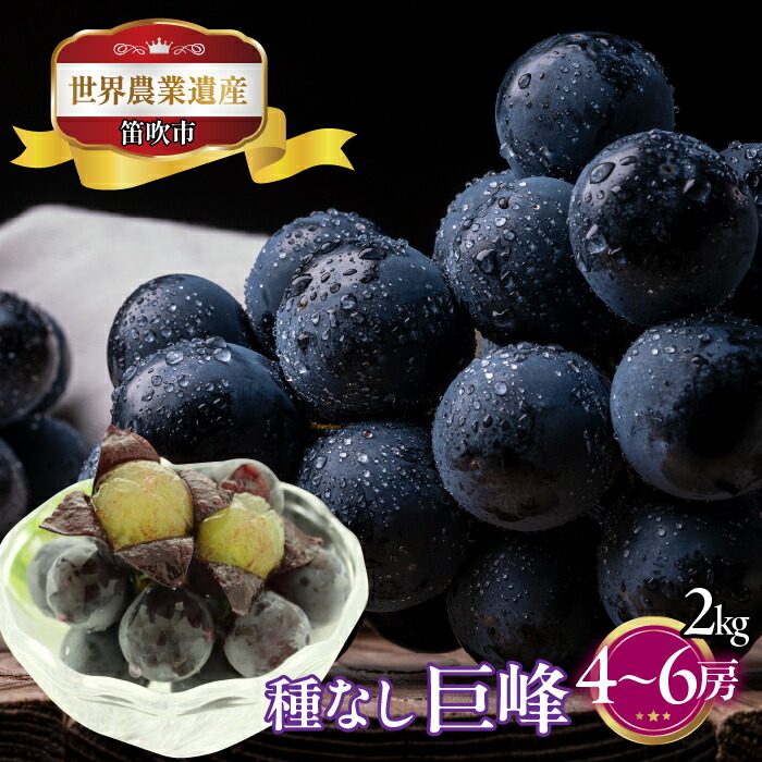 楽天市場】【ふるさと納税】【2026年発送☆先行予約】山梨県笛吹市産