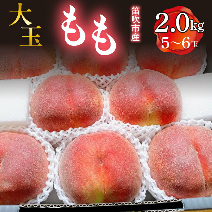 【ふるさと納税】 ＜25年発送先行予約＞ 笛吹市産　大玉もも　2.0kg(5～6玉) ふるさと納税 桃 もも 特選 大玉 笛吹市 国産 人気 期間限定 産地直送 新鮮 2025年発送 果物 フルーツ 旬 朝どれ  夏 おいしい プレゼント 贈答 ギフト 白鳳系 白桃系 山梨県 送料無料 227-008