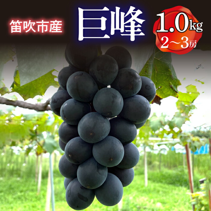 【ふるさと納税】 ＜25年発送先行予約＞ 笛吹市産 巨峰 1.0kg(2～3房) ふるさと納税 ぶどう 葡萄 種無し 黒系 笛吹市 国産 人気 甘い 大きい 期間限定 果物 くだもの フルーツ  黒ブドウ 旬   産地直送 数量限定 8月 9月 発送 2025年発送プレゼント 山梨県 送料無料 227-014