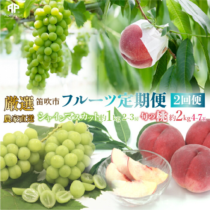 【ふるさと納税】＜25年発送先行予約＞笛吹市産　厳選!農家直送「フルーツ定期便2回便」桃 約2キロ(4～7玉)6月～8月 シャインマスカット約1.0キロ(2～3房) 9月～10月 205-006