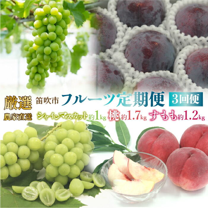 【ふるさと納税】＜25年発送先行予約＞笛吹市産　厳選!農家直送「フルーツ定期便3回便」 ふるさと納税 おすすめ ランキング シャインマスカット 桃 もも 貴陽 すもも  笛吹市 国産 人気 期間限定 果物 フルーツ 旬 ぶどう ブドウ 山梨県 送料無料 定期便 205-011