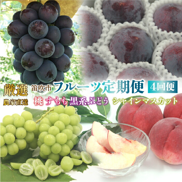 【ふるさと納税】＜25年発送先行予約＞笛吹市産　厳選!農家直送「フルーツ定期便4回便」  ふるさと納税 おすすめ ランキング シャインマスカット 桃 もも 貴陽 すもも スモモ プラム ぶどう ブドウ 笛吹市 国産  期間限定 果物 フルーツ 旬 山梨県 送料無料 定期便 205-012