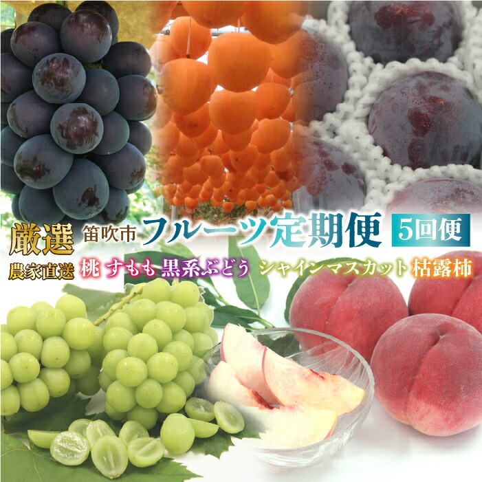 【ふるさと納税】 ＜25年発送先行予約＞笛吹市産　厳選!農家直送「フルーツ定期便5回便」 旬の果実をお届け1-2名様 シャインマスカット 桃 もも 貴陽 すもも スモモ プラム ぶどう ブドウ 枯露柿 人気 贈答 ギフト 果物 フルーツ 山梨県 笛吹市 リピート 送料無料 205-013