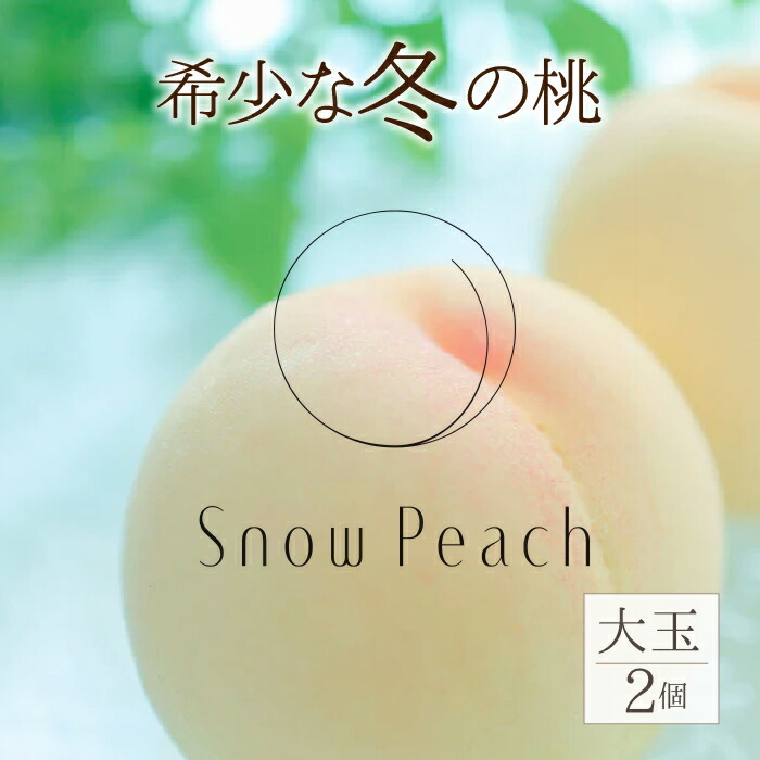 【ふるさと納税】＜2025年11月出荷＞Snow Peach （大粒2個入） ふるさと納税 もも 桃 笛吹市 国産 人気 期間限定 果物 フルーツ 旬 山梨県 送料無料 208-001