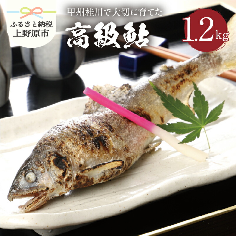 【ふるさと納税】 魚 川魚 鮎 あゆ 桂川 甲州桂川の鮎(Aセット) 1.2kg (14～16尾) 贈答 贈り物 送料無料 ※沖縄県、離島不可 山梨県 上野原市