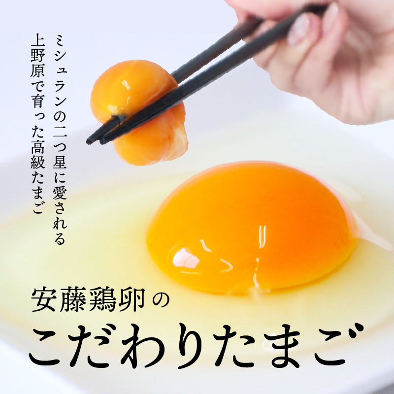 ふるさと納税 たまご 卵 定期便 お楽しみ 生卵 卵かけご飯 高級 高級卵 濃厚鶏卵 新鮮 セット ミシュラン 6ヶ月お届け 安藤鶏卵のこだわり卵 40個 送料無料 Sermus Es