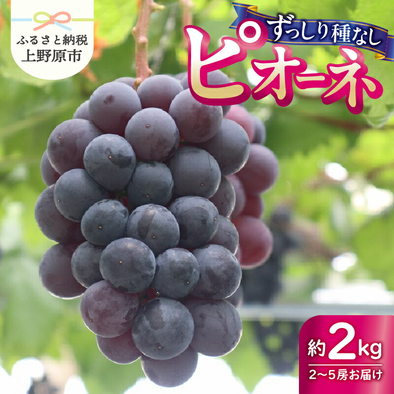 【ふるさと納税】 【2025年先行予約】山梨県産 ピオーネ 種なし 約2kg 2～5房 ぶどう 葡萄 果物 フルーツ デザート 甘い 山梨県 上野原市 送料無料 ※沖縄県・離島不可