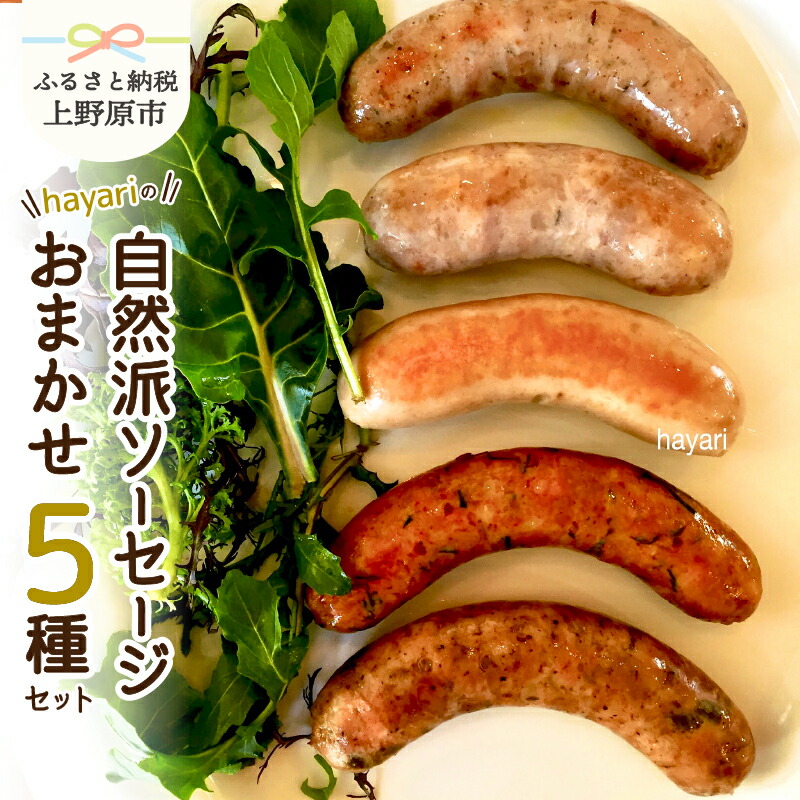 【ふるさと納税】 ソーセージ研究家がおくる自然派ソーセージ 創作ソーセージ 無添加 サルシッチャ 自然派 こだわり 多種多様 世界のソーセージ ５種 詰め合わせ 調理ガイド付 hayari 加工肉 オリジナル 素材 贈答 贈り物 送料無料 山梨県 上野原市