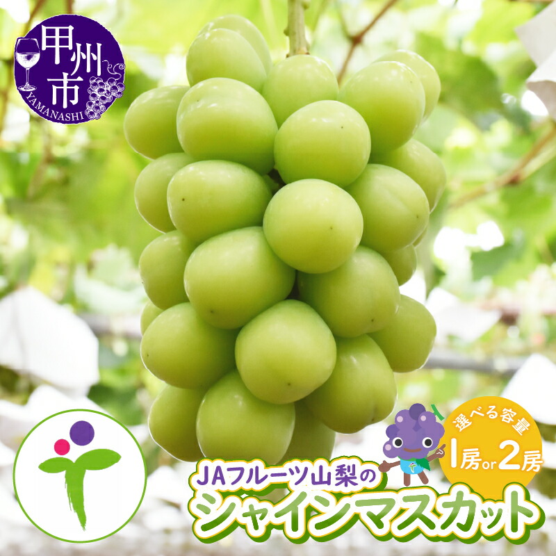 【ふるさと納税】 シャインマスカット 2026年発送 選べる 容量 約600g 約1.2kg 1房 2房 8月 9月 発送 果物 期間限定 数量限定 甲州市産 ぶどう 白ブドウ 葡萄 種なし 大粒 化粧箱入り 人気 果物 フルーツ JAフルーツ山梨 農協 山梨県 甲州市 社員マスカット｜山梨県甲州市