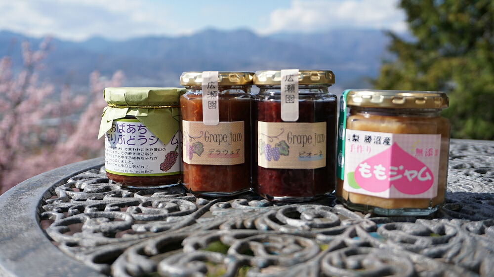 【ふるさと納税】 ジャム セット 甲州市産 加工品 巨峰 ぶどう プラム もも 季節のフルーツ 旬 ギフト パン ヨーグルト 瓶詰 贅沢 山梨県 甲州市【B-901】
