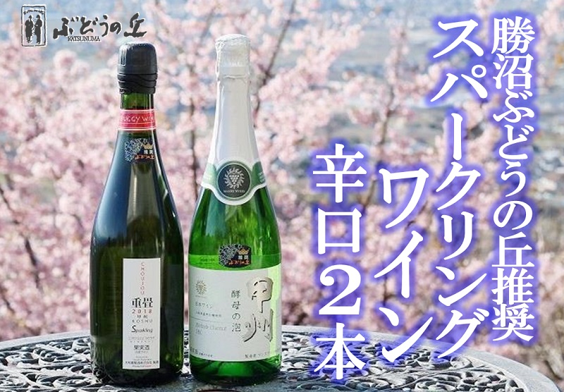 市場 ふるさと納税 B2-656 勝沼ぶどうの丘推奨スパークリングワイン